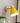 Yadiel - Wood Nordic Modern Hanging Switch Wall Light